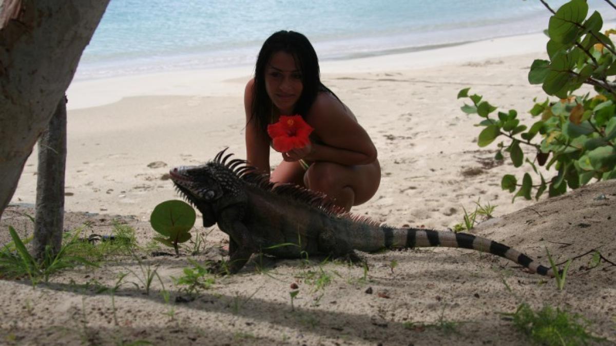 catalina_ponor_1_10515900