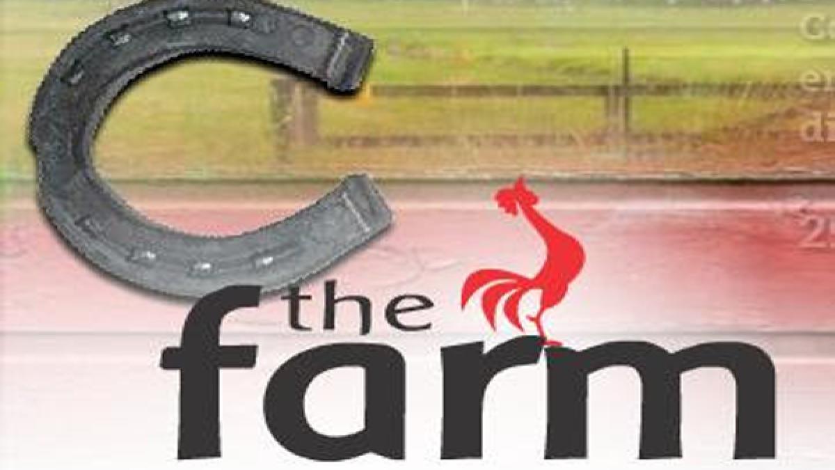 the_farm_73250600