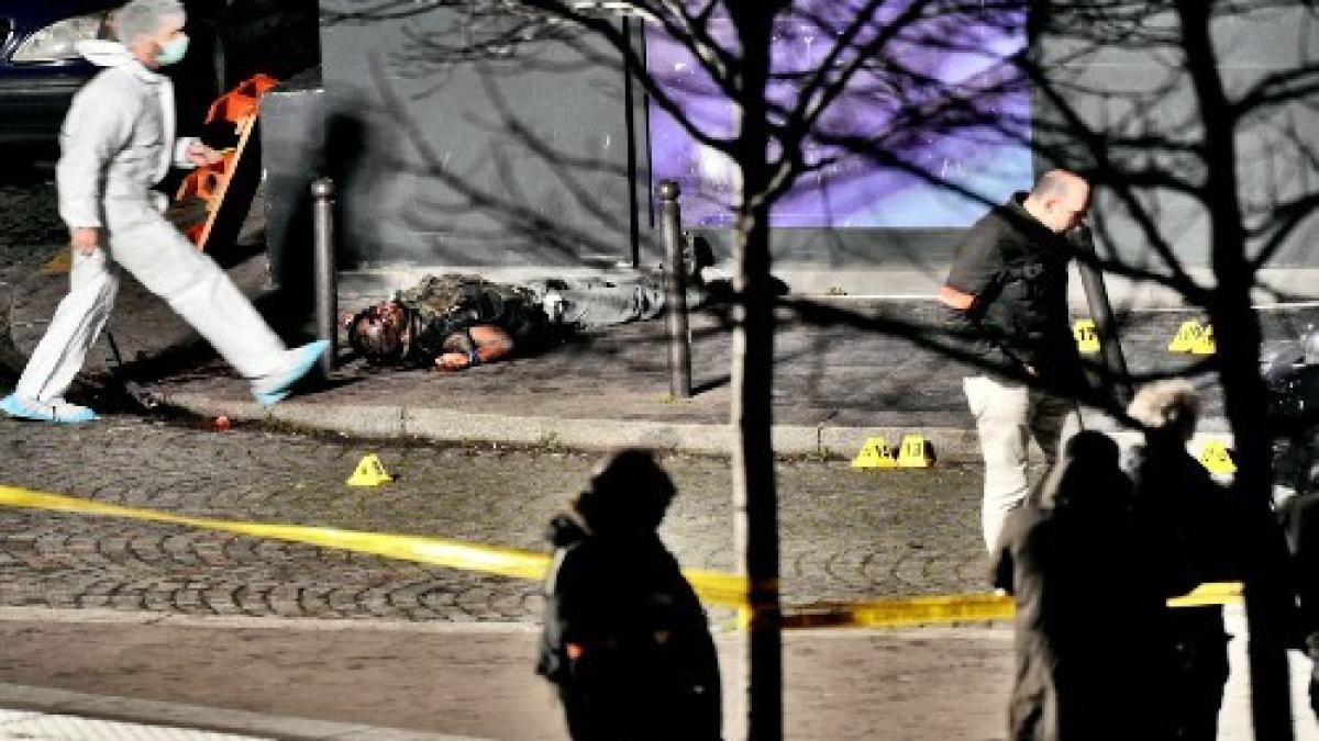 asaltul final al for elor special franceze in magazinul evreiesc video cutremurator