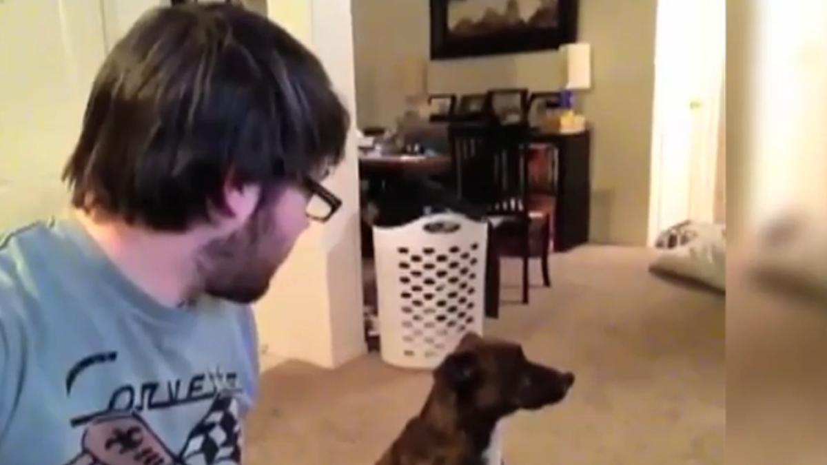 screen_shot_2015_01_15_at_15_47_57_80914700