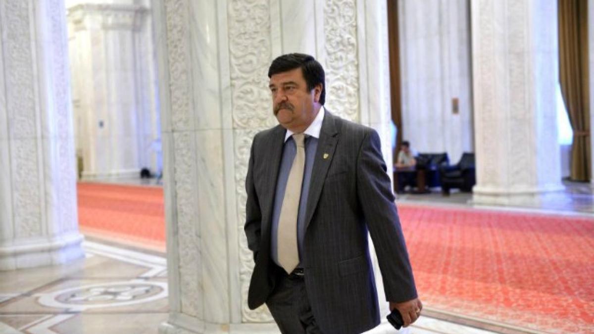 toni_grebla_46620300