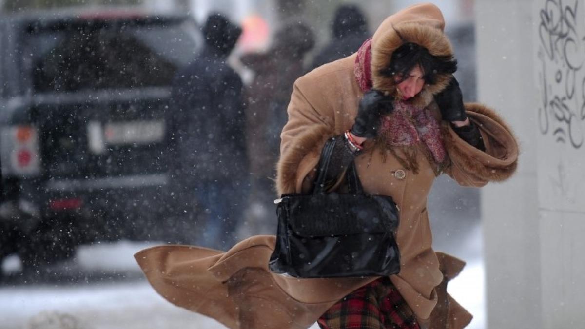 cod_1420018309_09569300