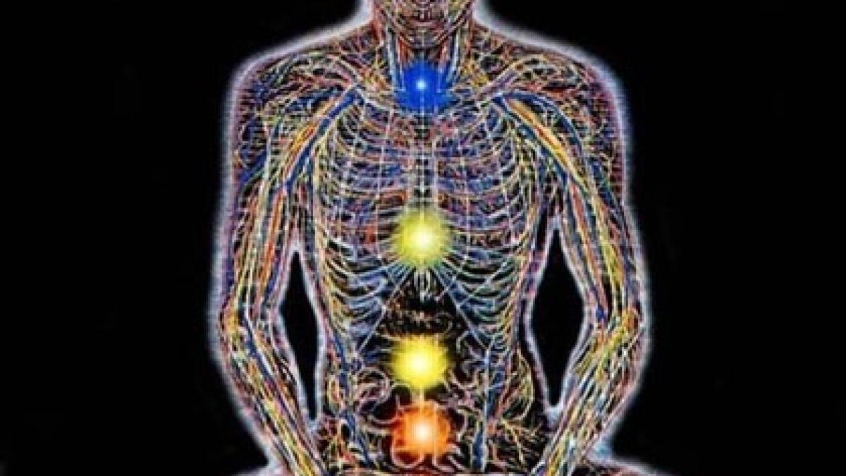 al_3_lea_ochi_36523400