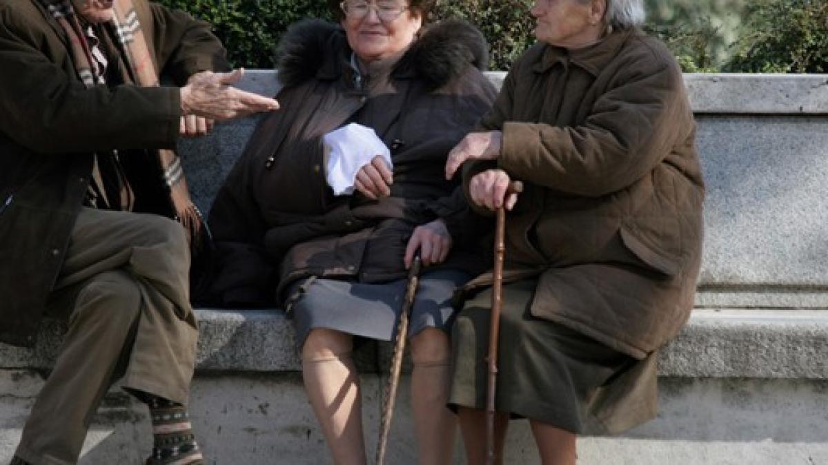 1124775_77481651_768x300_61404900