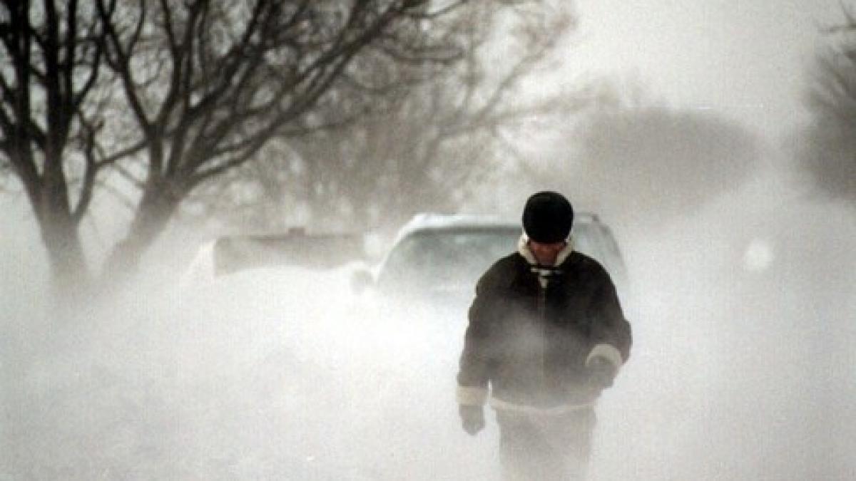 viscol_335993_85444400