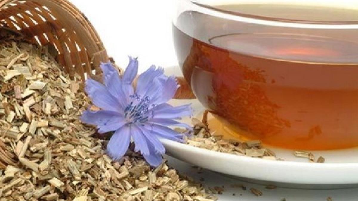 ceai_cicoare_06289600