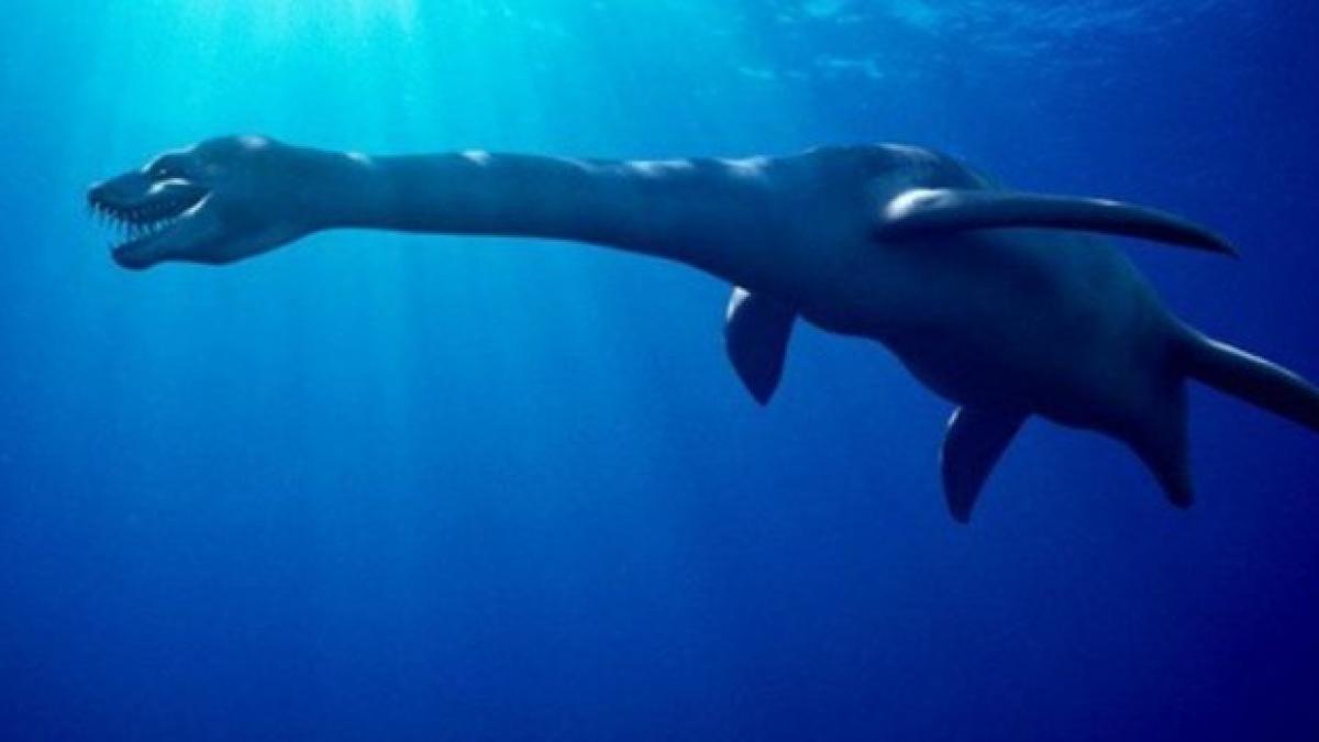 1017654083_730x350_58133400