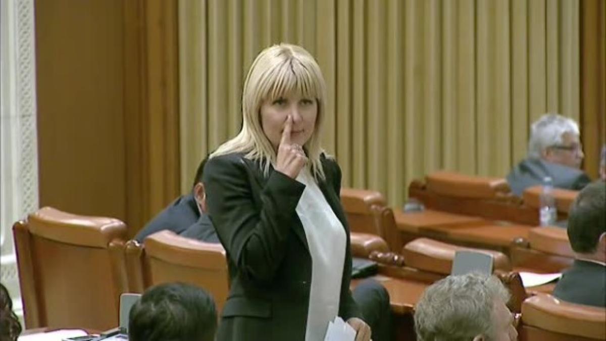 elena udrea gest controversat in parlament foto