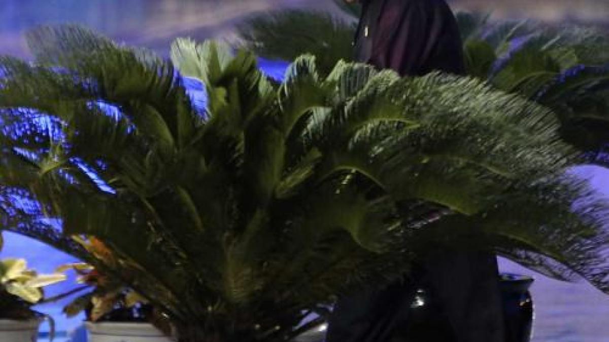 agerpres_7692575_74506600