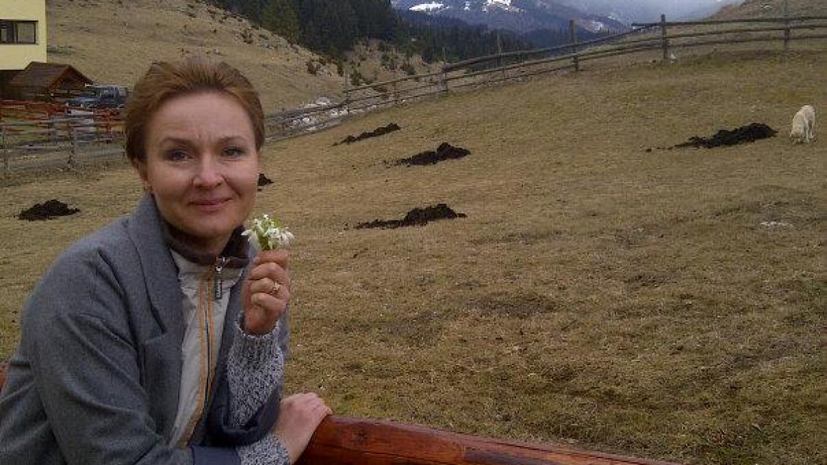 cum a scapat dana grecu de un accident de ma ina