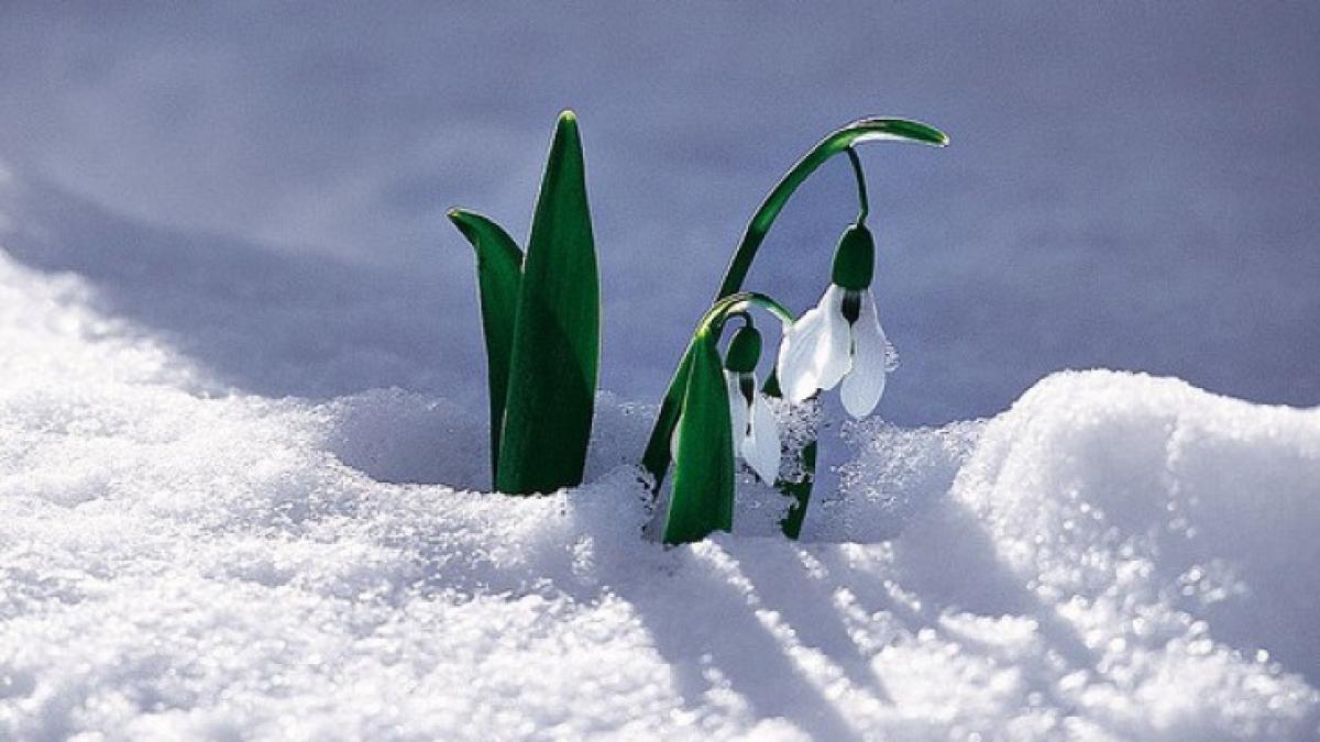 b9207ef474a206247a177dbbc854599a_94145900