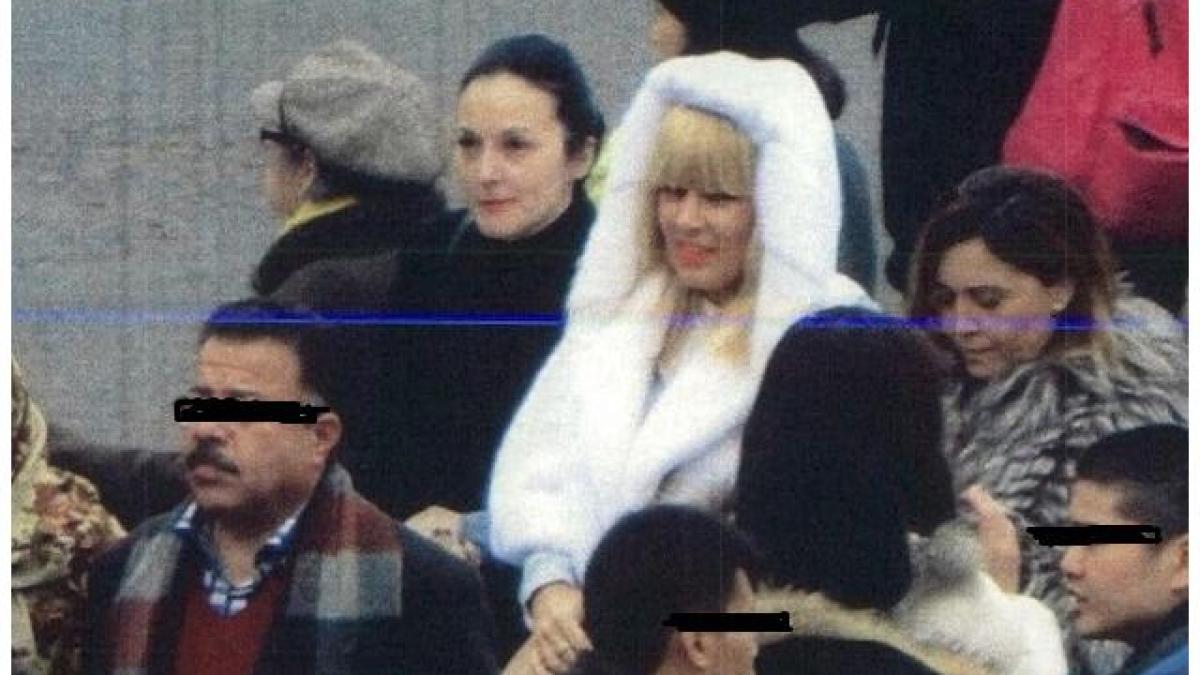 csm_a_sesizat_inspec_ia_judiciar_n_cazul_fotografiilor_cu_elena_udrea_i_alina_bica_efa_diicot_la_paris_70690_14563000