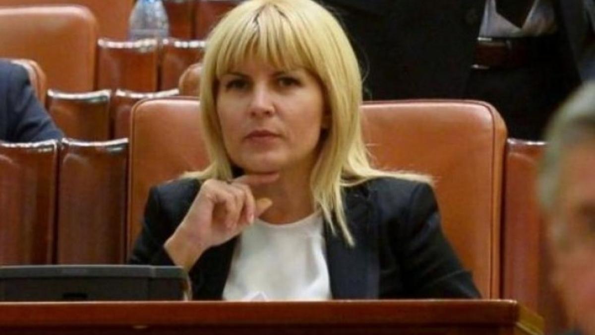 udrea_parlament_12507400