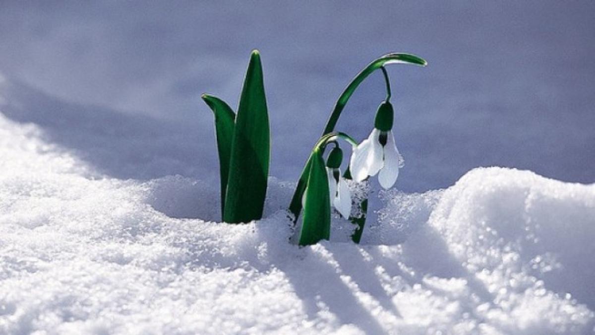 b9207ef474a206247a177dbbc854599a_94145900_13280000