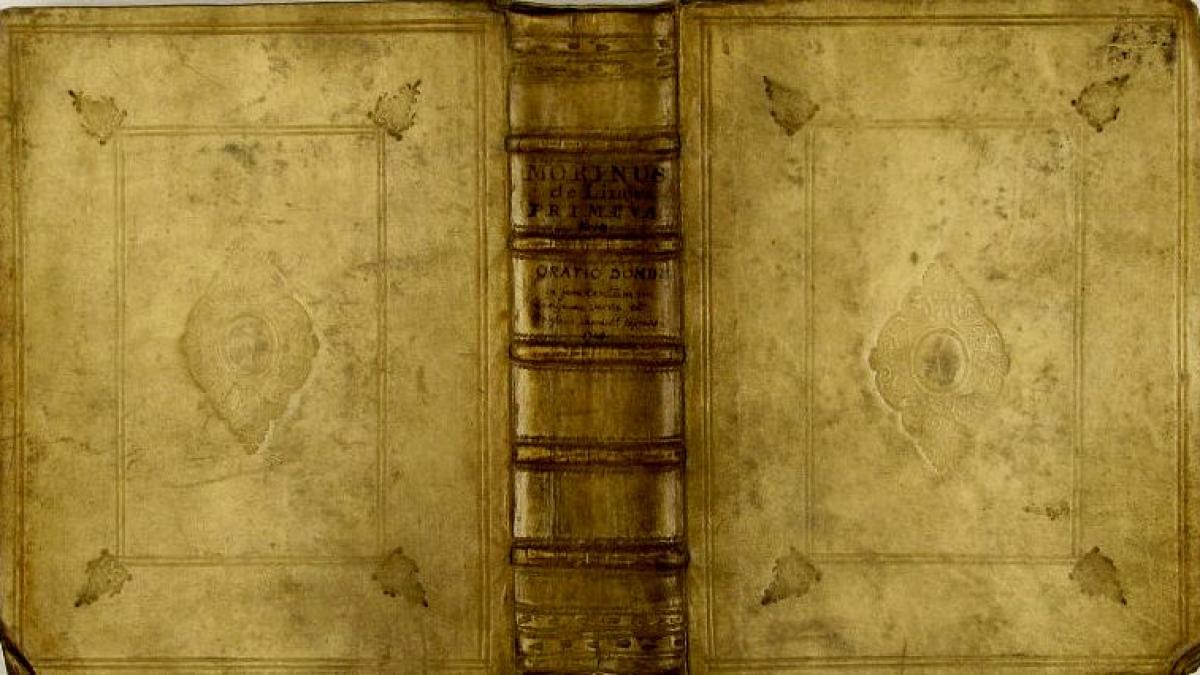 chamberlayne3_36188100