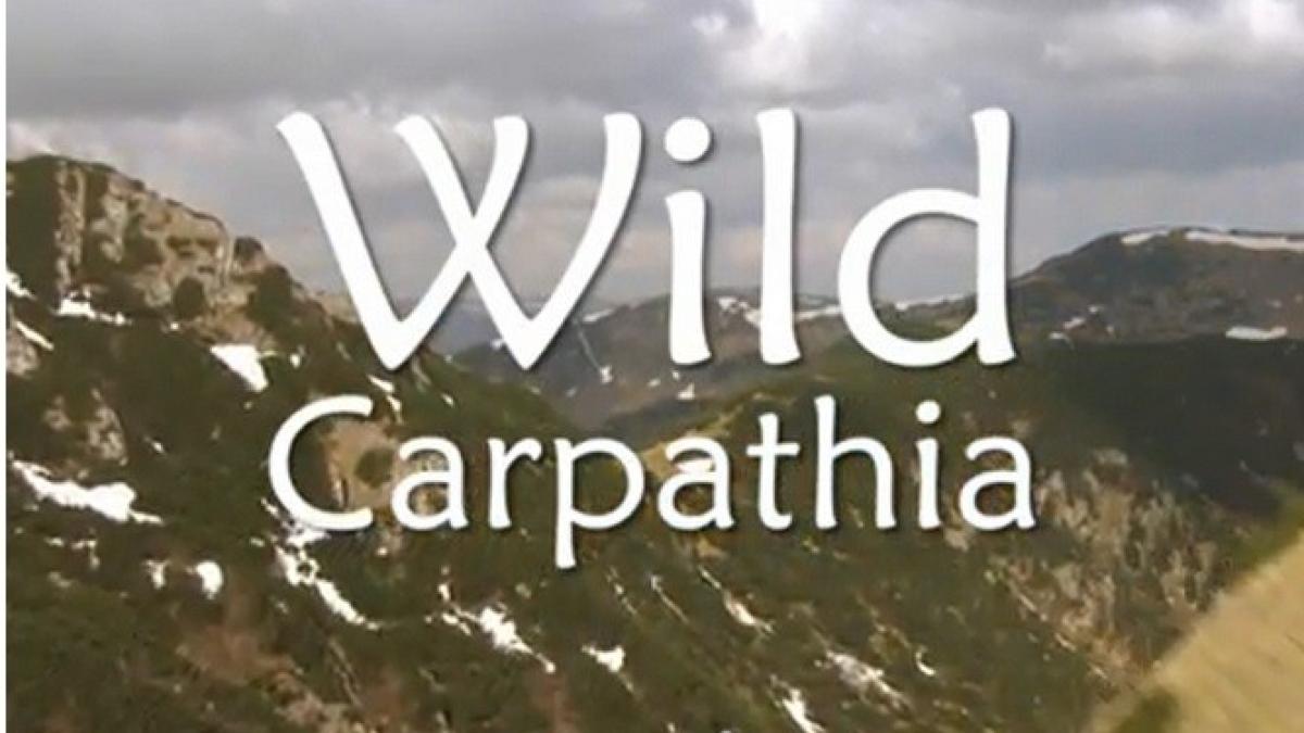 wild_carpathia_2_71099100