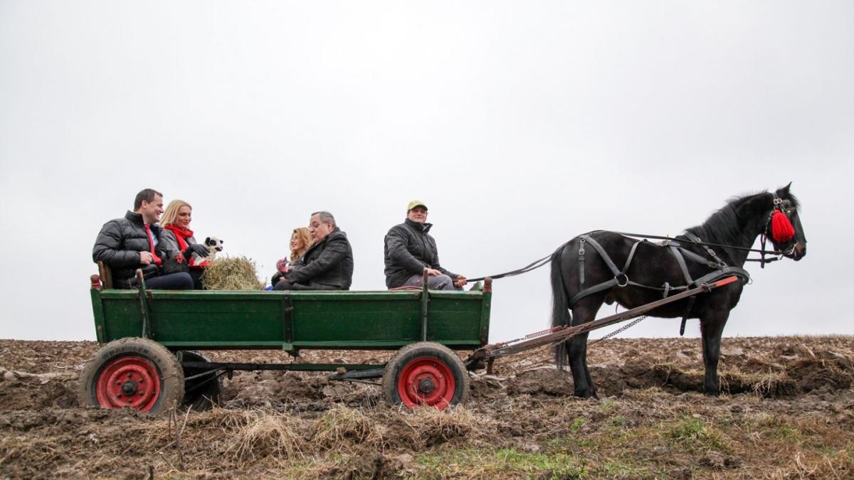 au_mai_ramas_7_zile_pana_se_da_startul_aventurilor_de_la_ferma_vedetelor_3_25007800