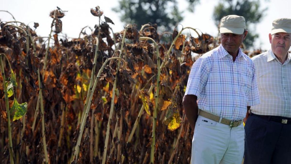 agerpres_7201008_55597700