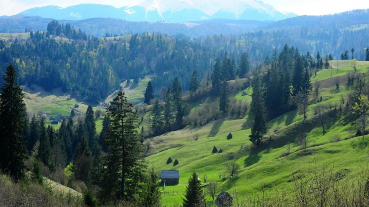 agerpres_2441633_31915600