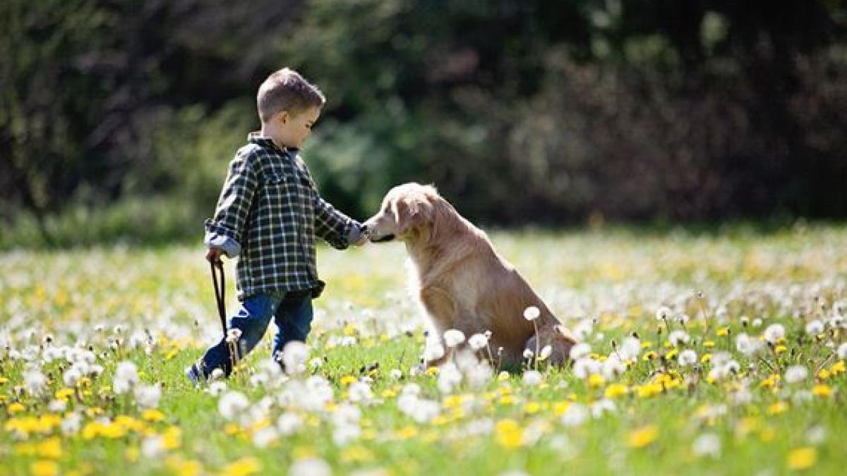 05_born_without_eyes_57751400