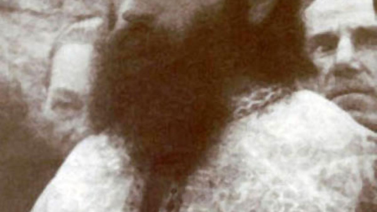 parintele_arsenie_boca_02_79399000