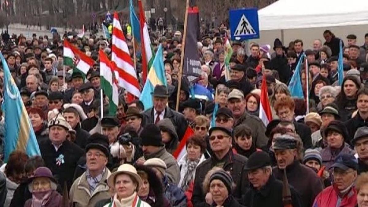 hunor_huiduit_64624300