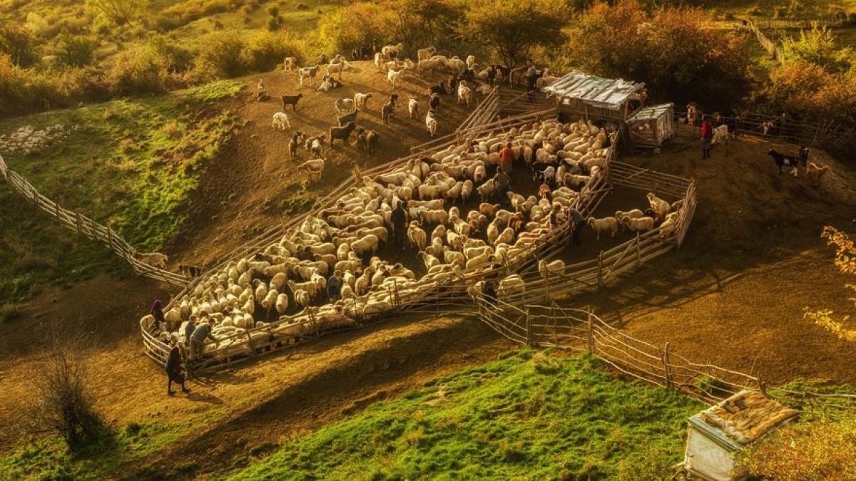 14699_1062182717143942_8068798187180515105_n_25967600