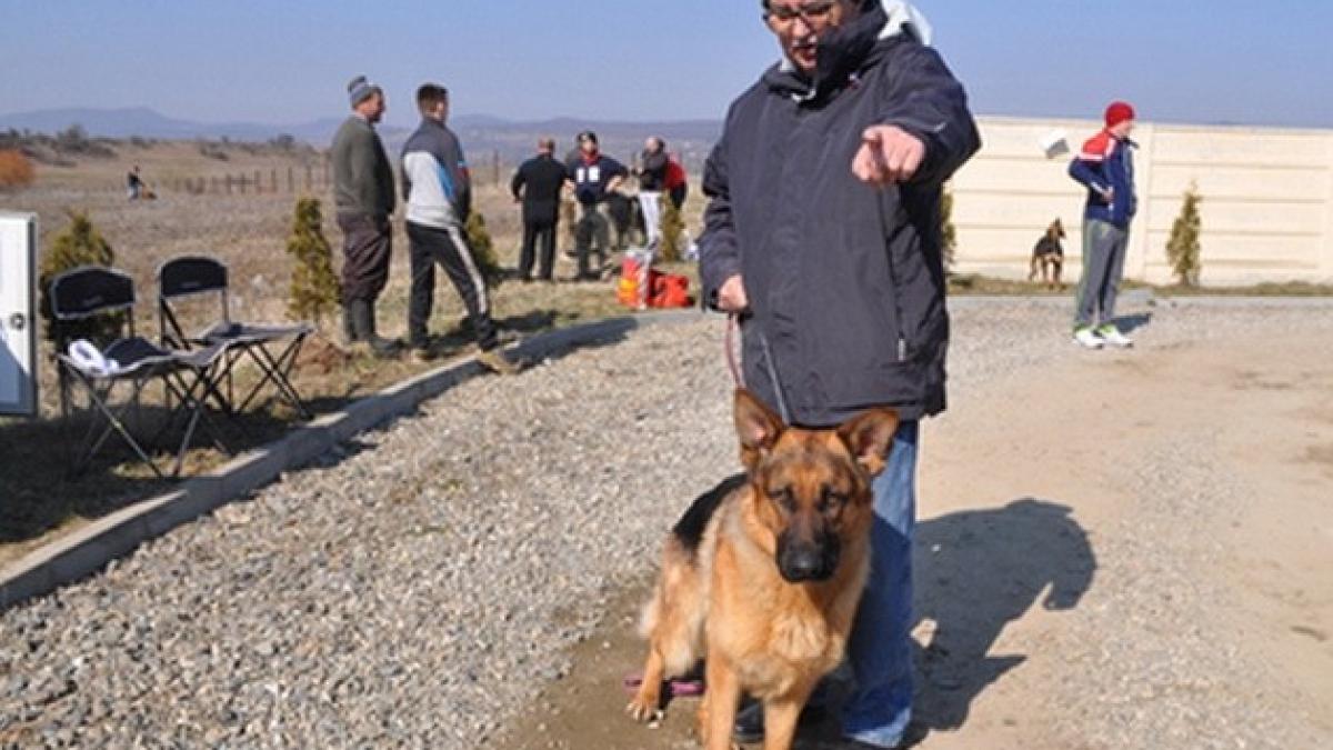 screen_shot_2015_03_22_at_3_23_29_pm_24070800