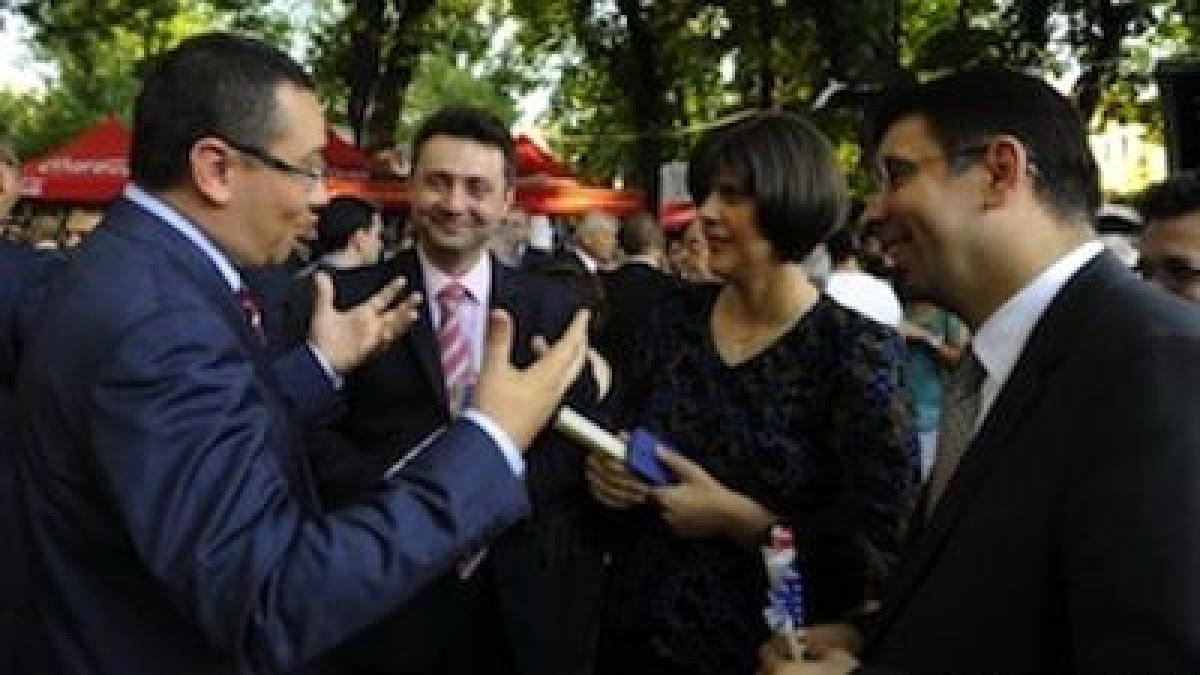 pona_nitu_kovesi_95331900