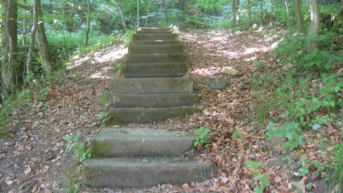 300_de_scari_78905400