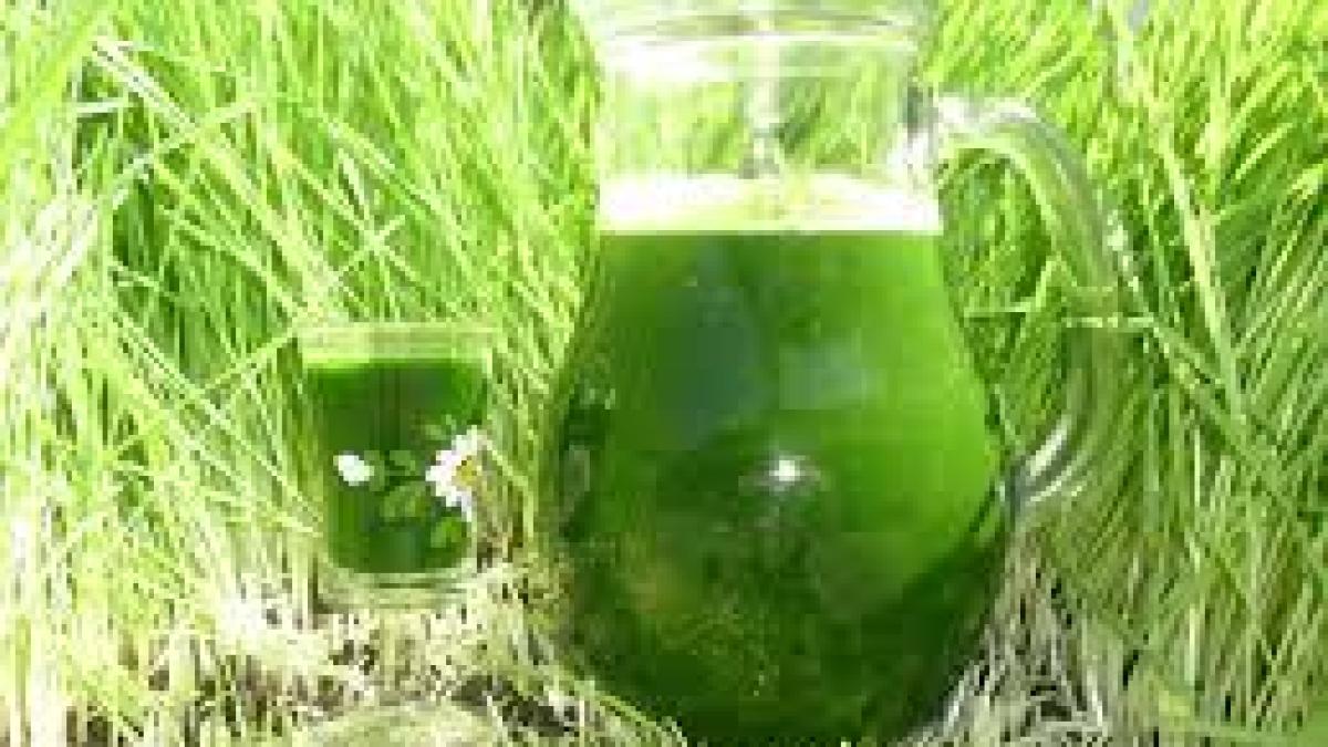 iarba_de_grau_70626300