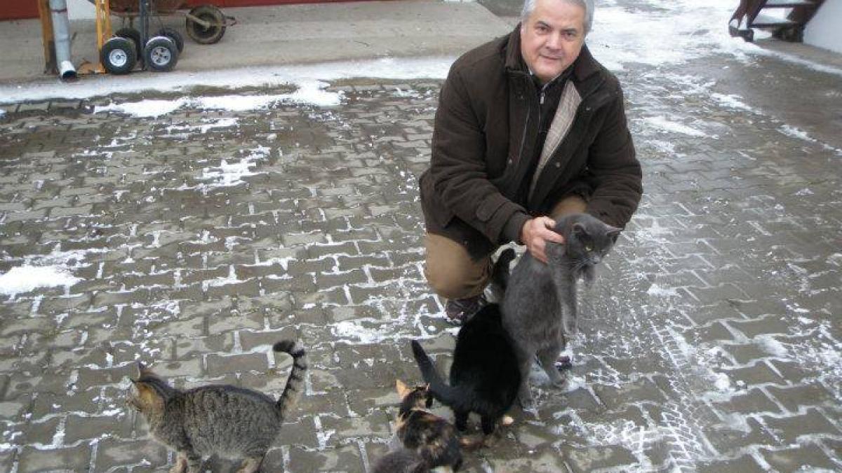 1229895_183957371788061_1171648355_n_79277400