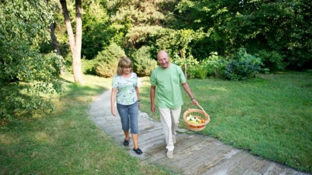 basescu_gradina_56956900_04501000