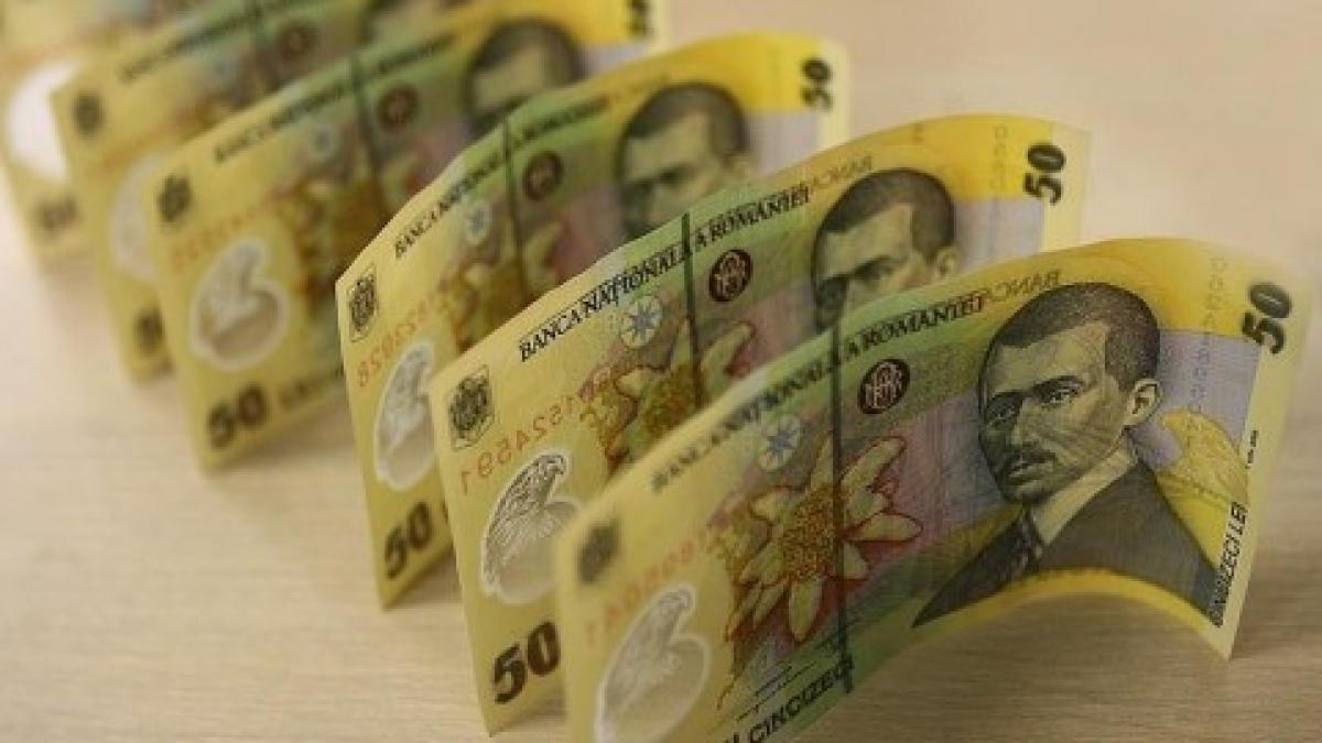 bani_lei_263497_96405200