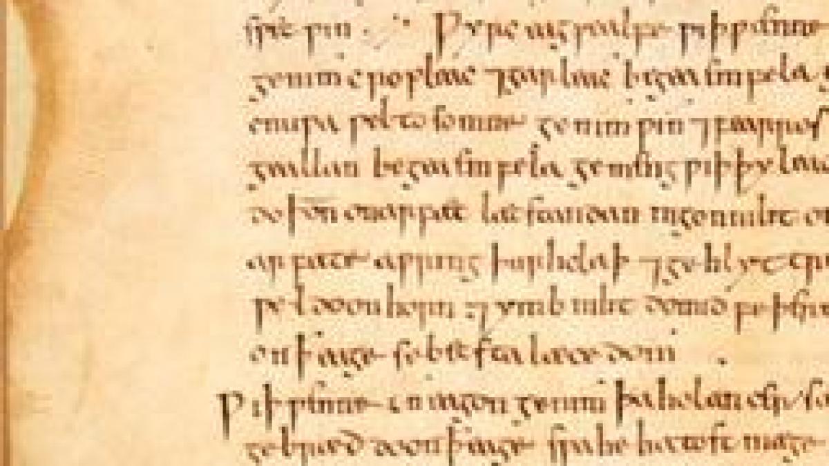 unguent_vikingi_45027500