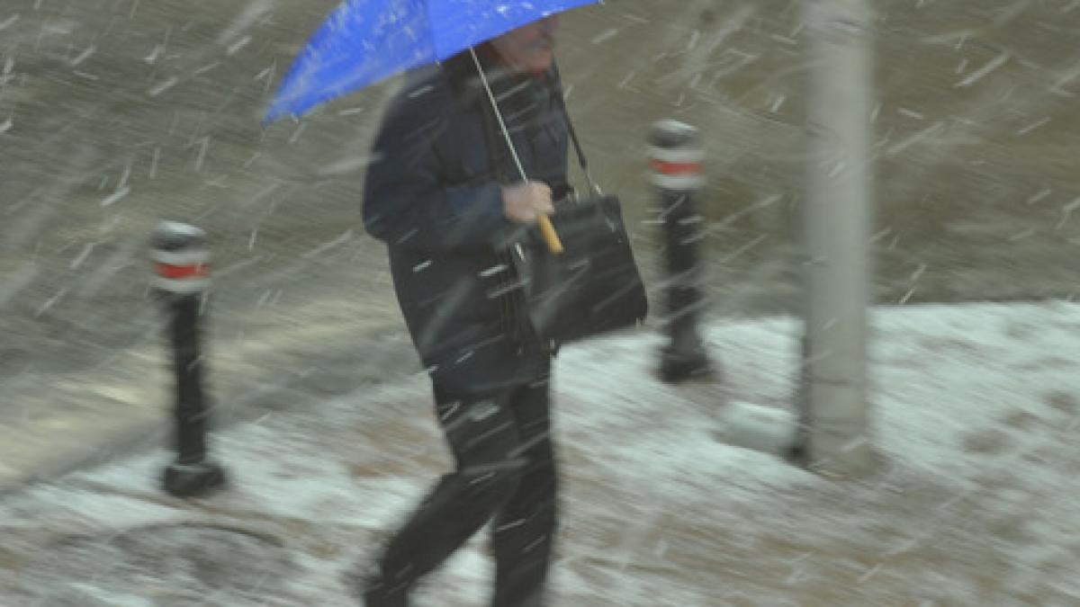 iarna_ts_18_article_main_image_72749900