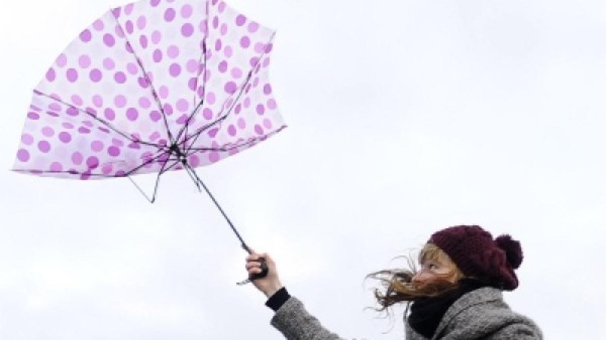 1424157797e9c7d207_71681800