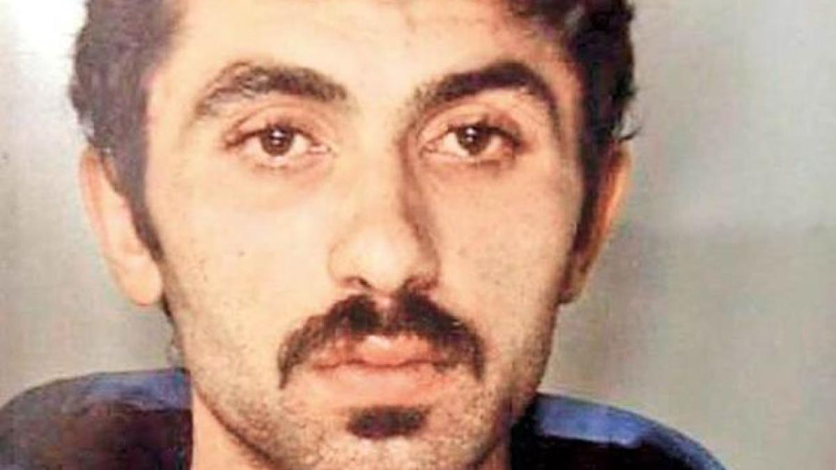 romulus_mailat_italia_29223900