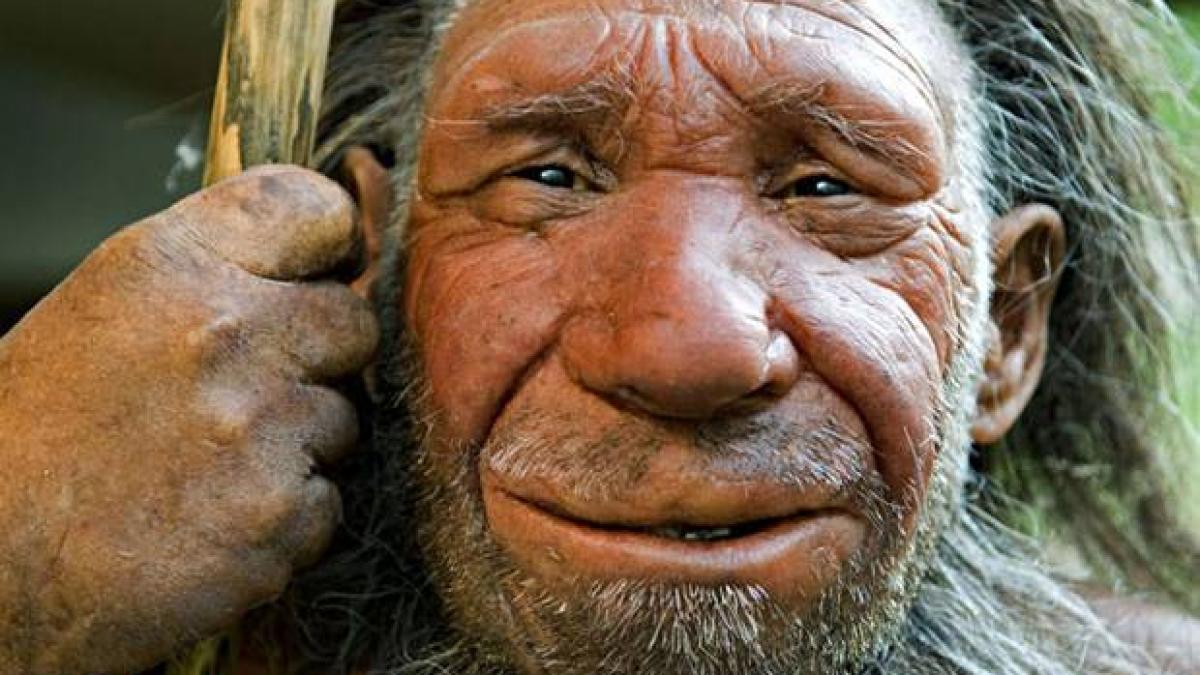 om_caucazian_66685200