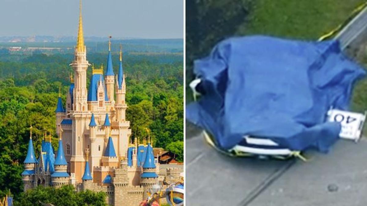 main_disney_crash_48119800