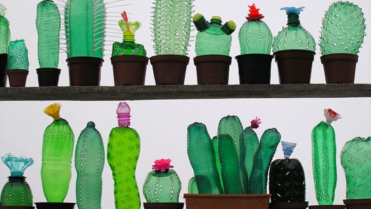 plante_plastic_39732700