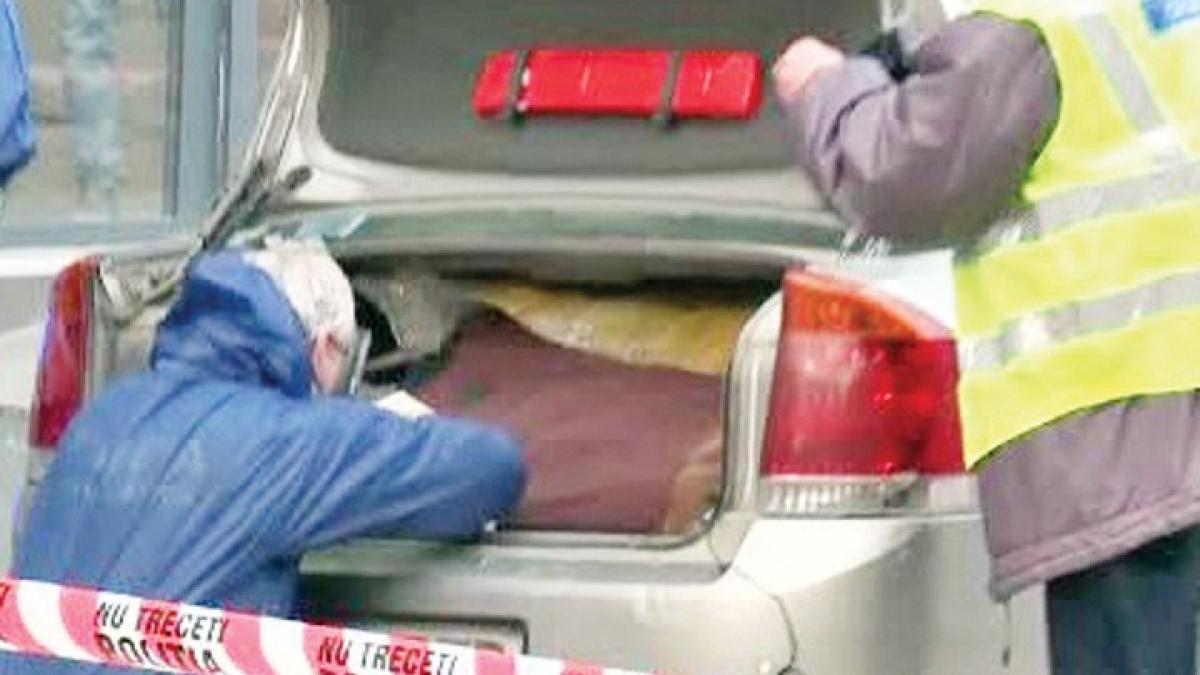 sirian_mort_01795600