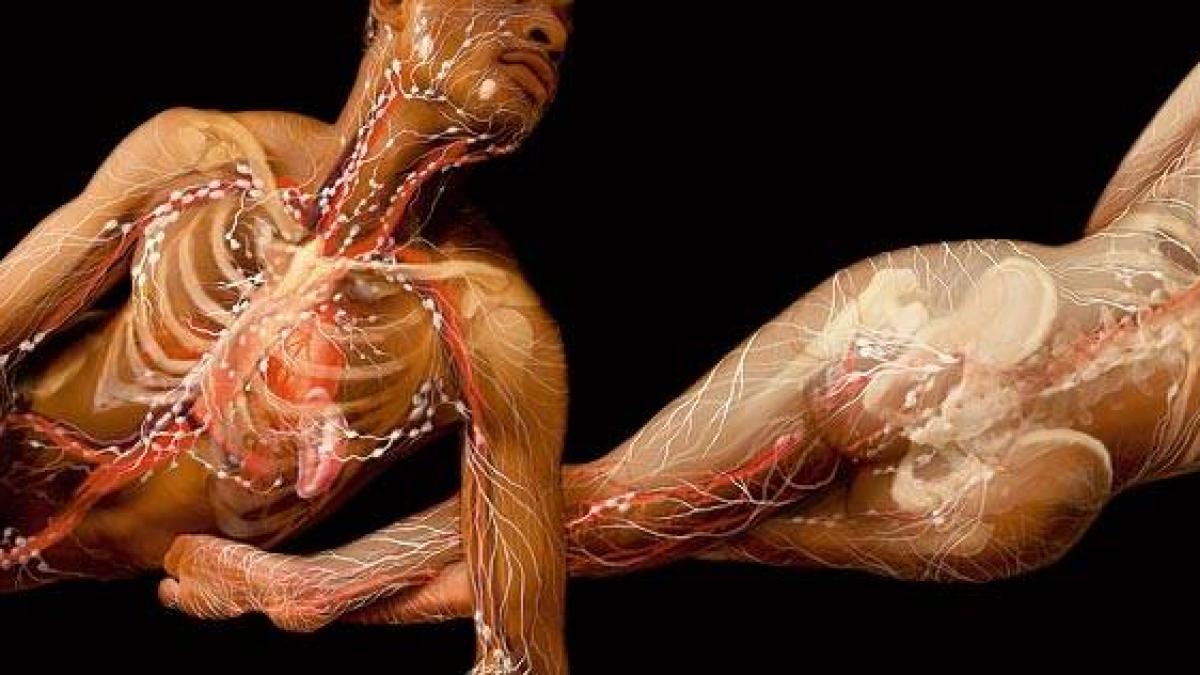 corp_uman_harta_84372800