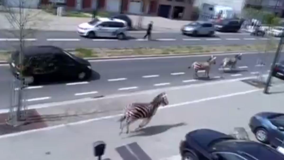 screen_shot_2015_04_18_at_7_01_11_pm_28391500