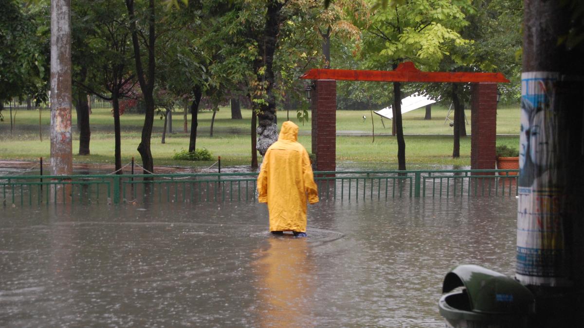 dsc_0138_25290500_75747300