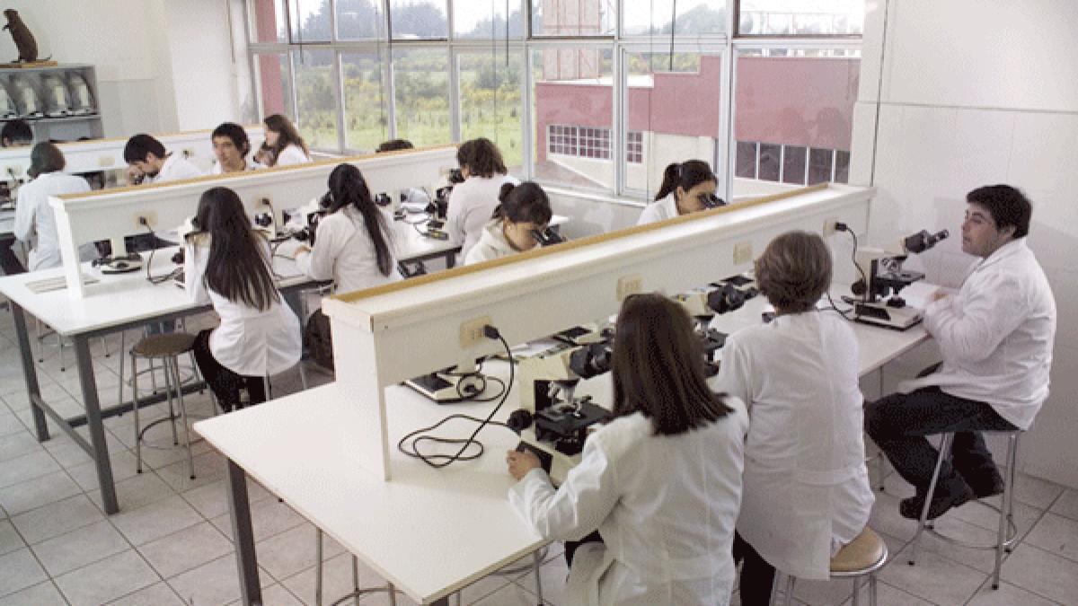 studenti_medicina_29411300