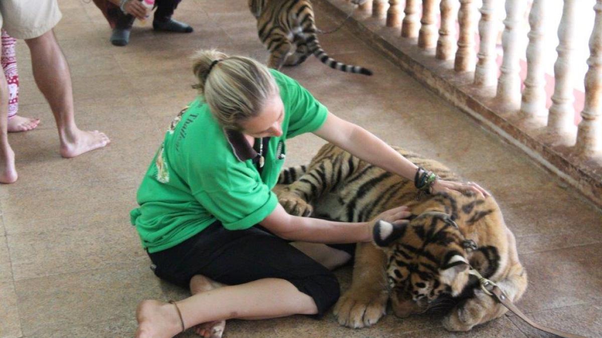 vier_pfoten_2015_04_29_002_33625800