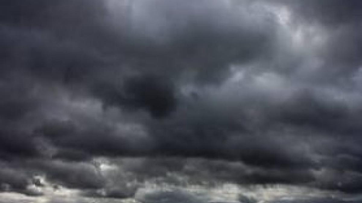 images_1_37963500_08859900