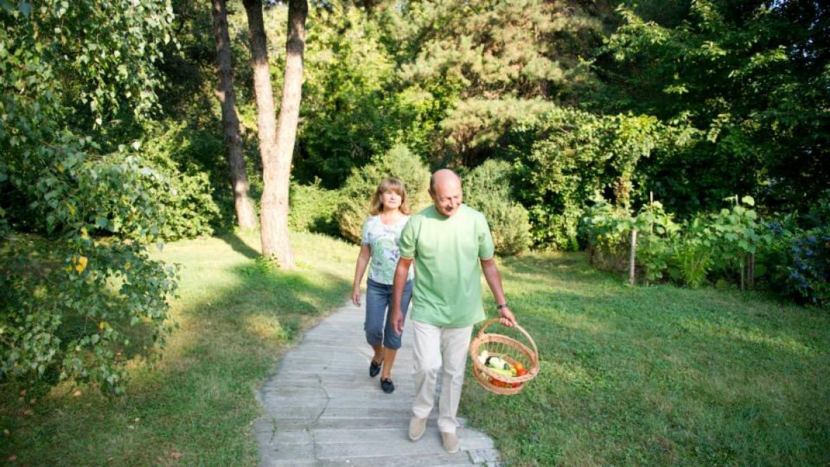 603137_724498390897048_762195534_n_79416000