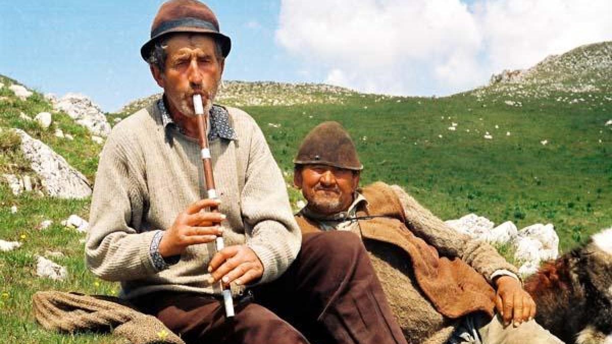 ion_si_vasile_80612400